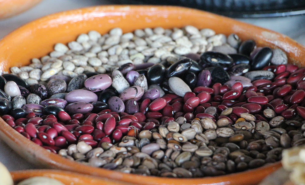 Los olvidados: ingredientes que dejaron nuestra mesa y las consecuencias de su desaparición