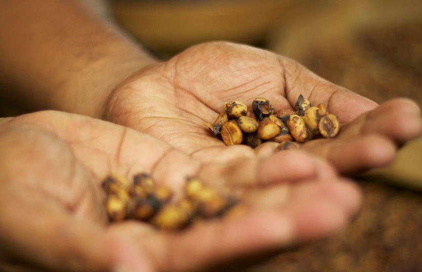 Los residuos de café y leche que se transforman en energía y agua