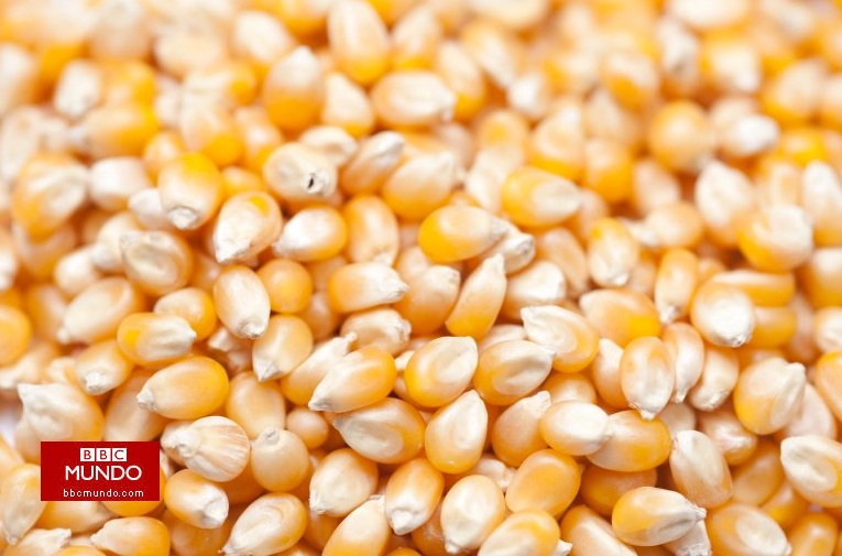 El empresario que quiere salvar de la extinción a las palomitas de maíz en México