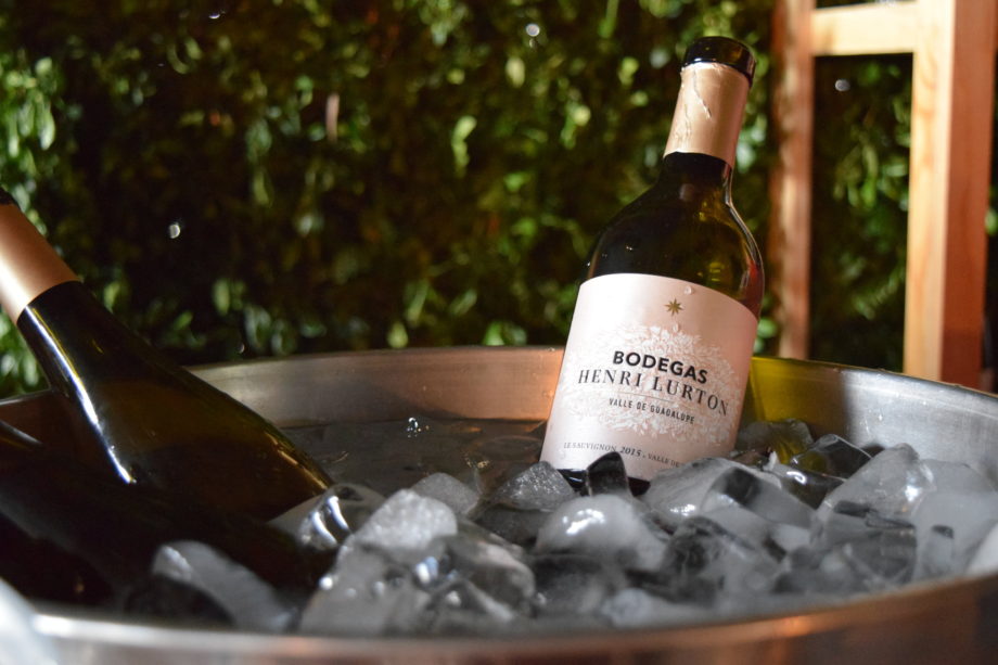 10 proyectos de vino mexicano que debes conocer (y probar) cuanto antes