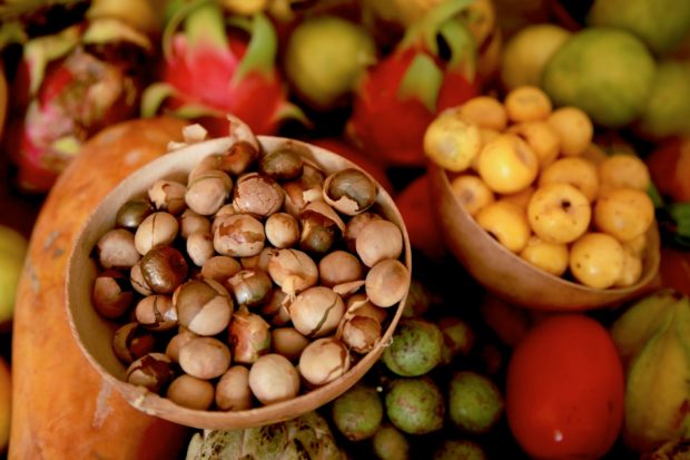 Ingredientes mexicanos que están en peligro de ser olvidados