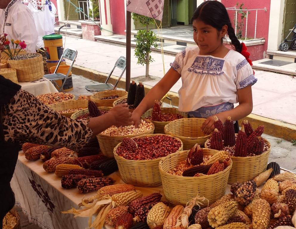 Mercado Alternativo del Pequeño Productor (MAPP).