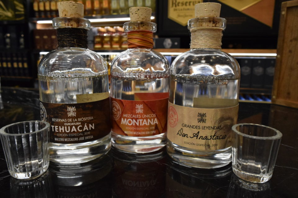 4 consejos para catar un buen mezcal y apoyar causas sociales