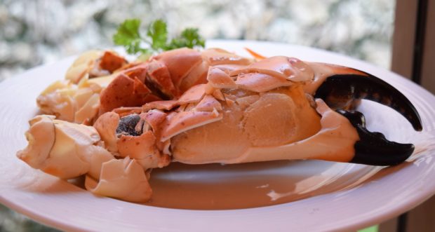 La cocina tradicional de Campeche, un tesoro escondido del sureste mexicano