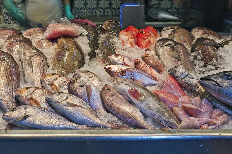 ¿Cuáles son los pescados que son menos nocivos para la salud porque tienen menos mercurio?
