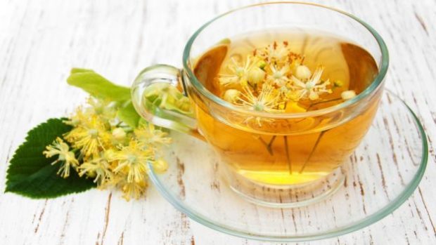 Hierbas e infusiones para prevenir el envejecimiento prematuro