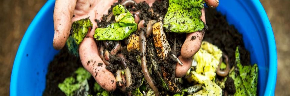 La composta hace que desperdiciar comida te importe menos