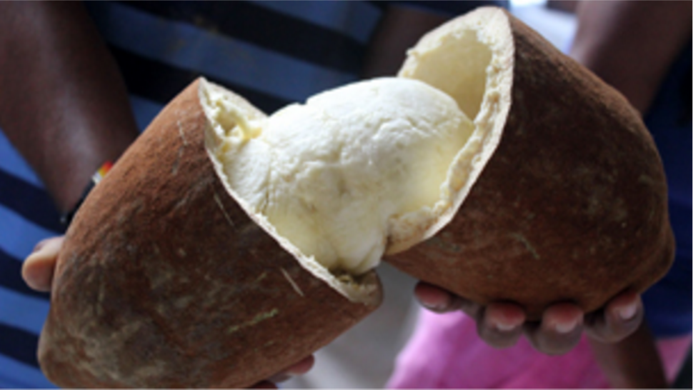 El copoazú quiere ser la próxima superfruta amazónica