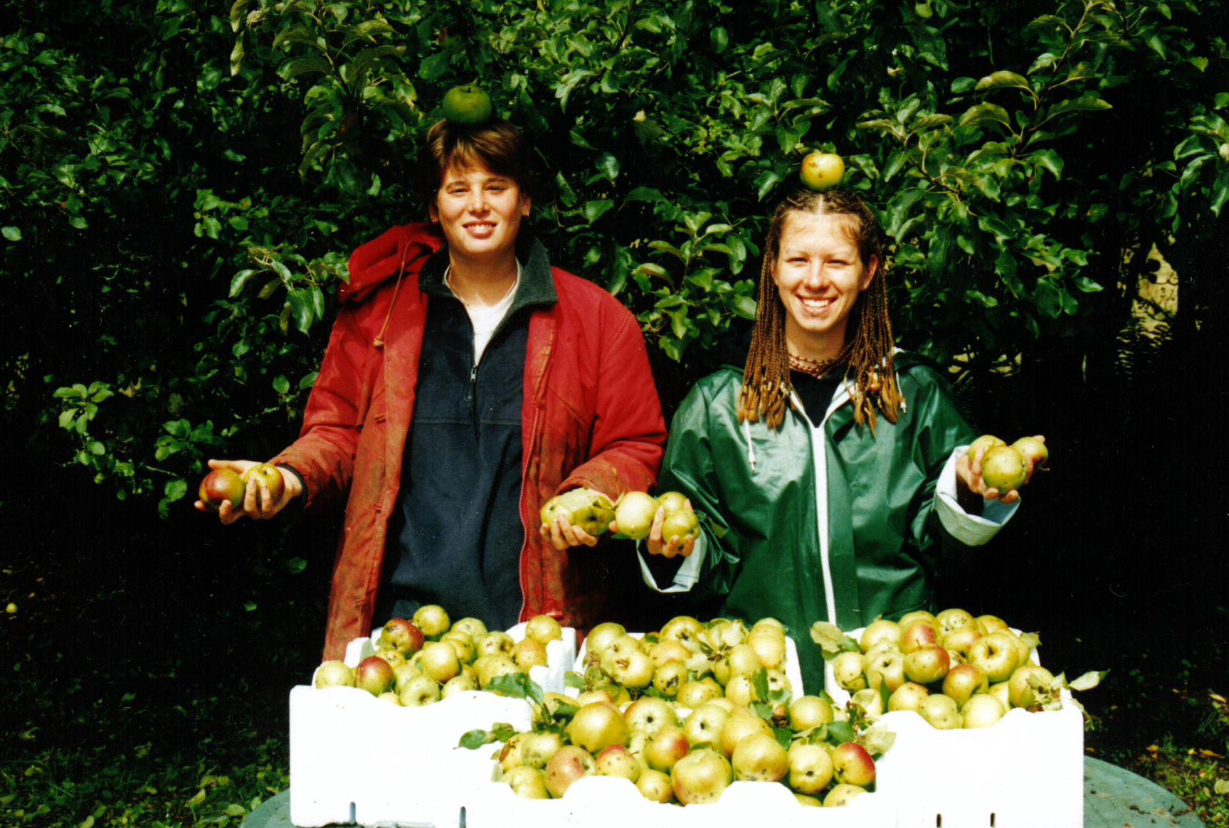 Cultivar, cosechar y cocinar: viaja por el mundo y aprende sobre agricultura orgánica