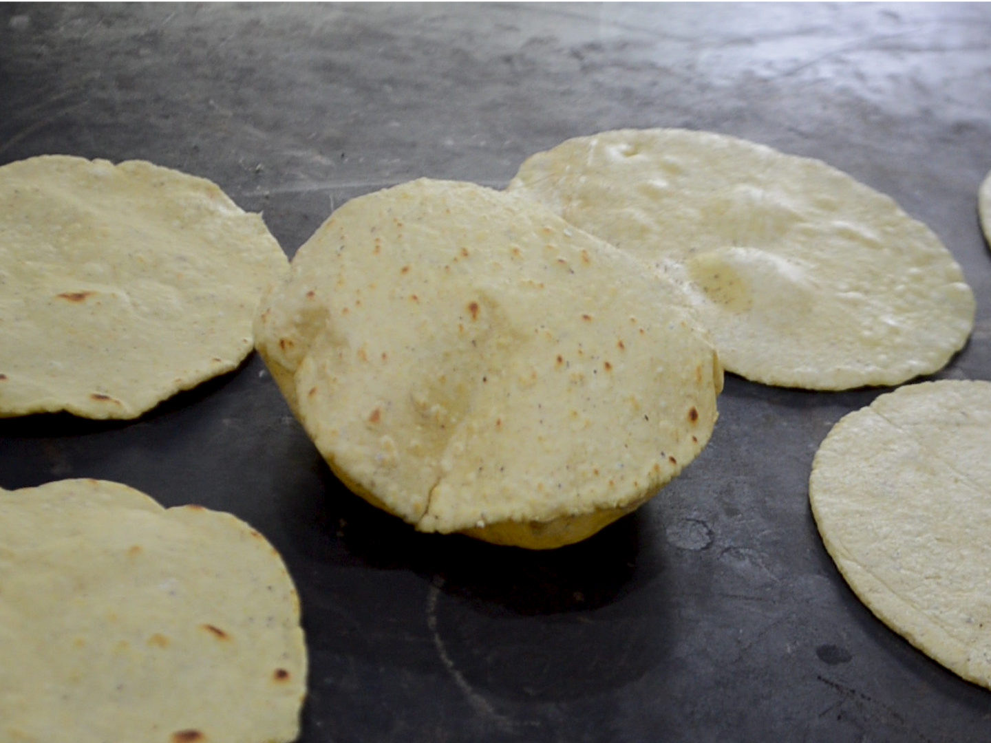 Maizajo: tortillería y laboratorio del maíz en la Roma