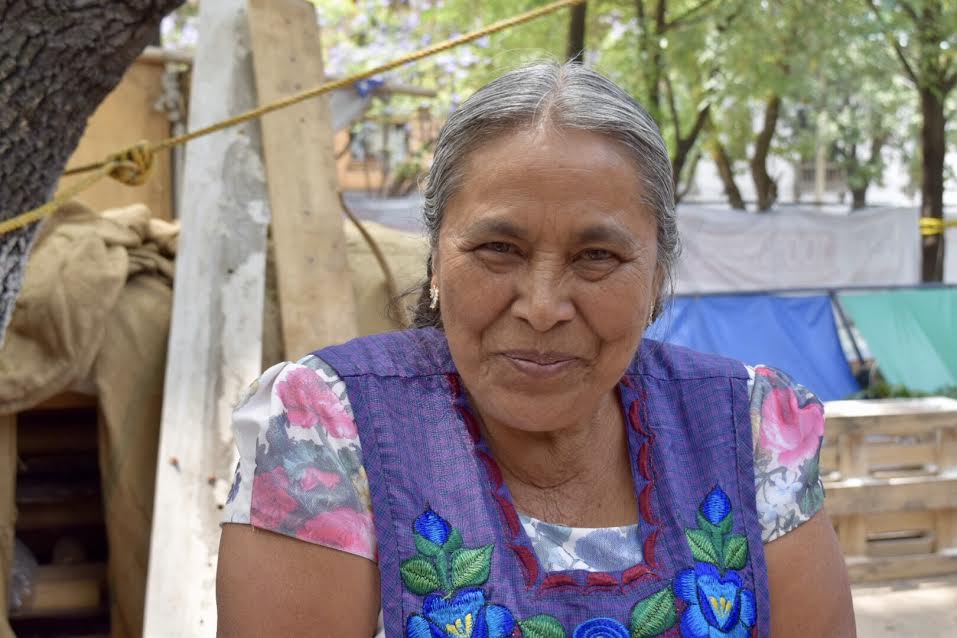Cómo comprar mezcal hecho por mujeres de Oaxaca