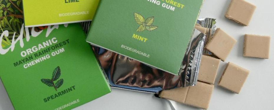 Chicza, el chicle orgánico que se produce en la selva maya