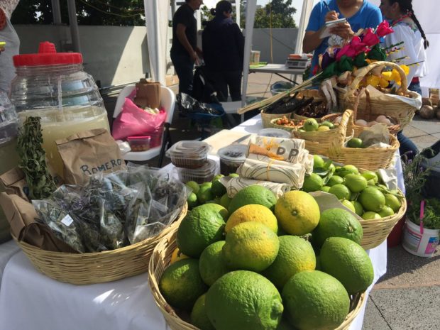 Mercado de productos orgánicos en Tlaxcala