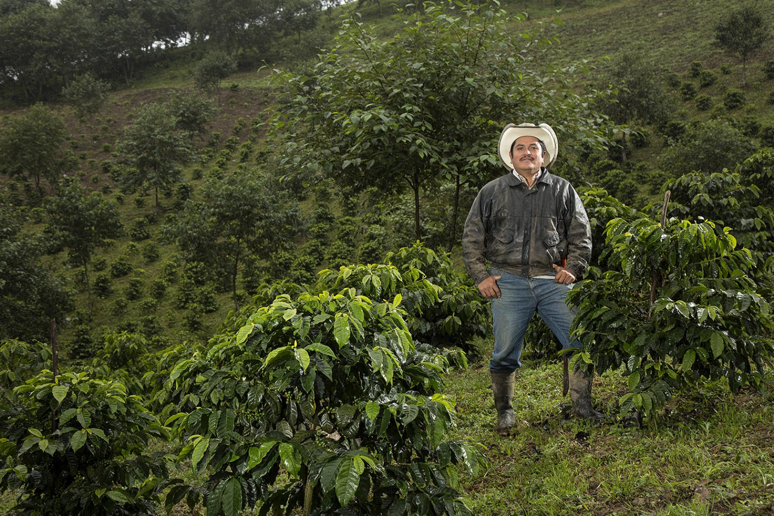El turismo consciente de Ruta Origen: conoce de dónde viene el café y otros productos