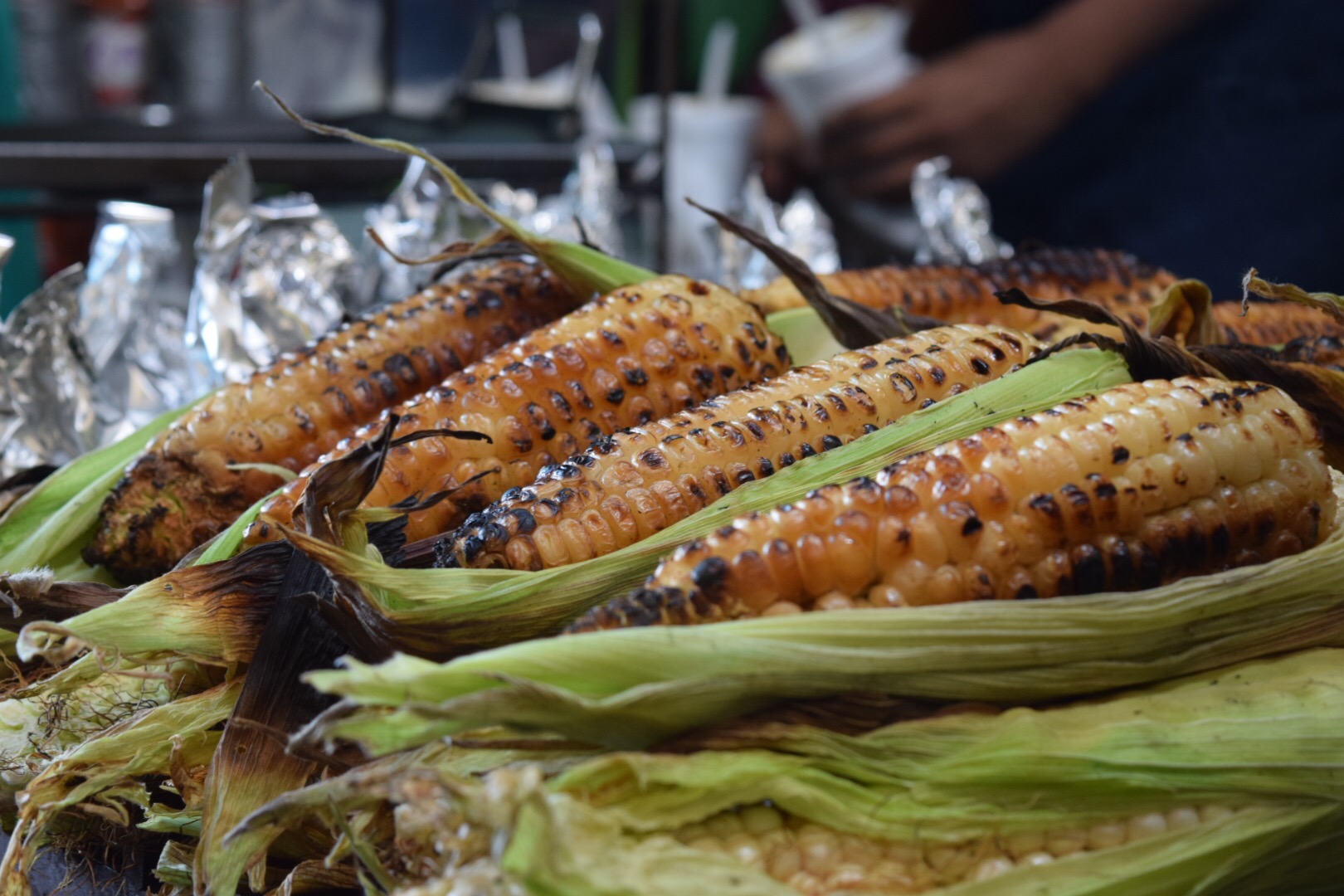 ¡Ya es temporada del elote cacahuazintle!