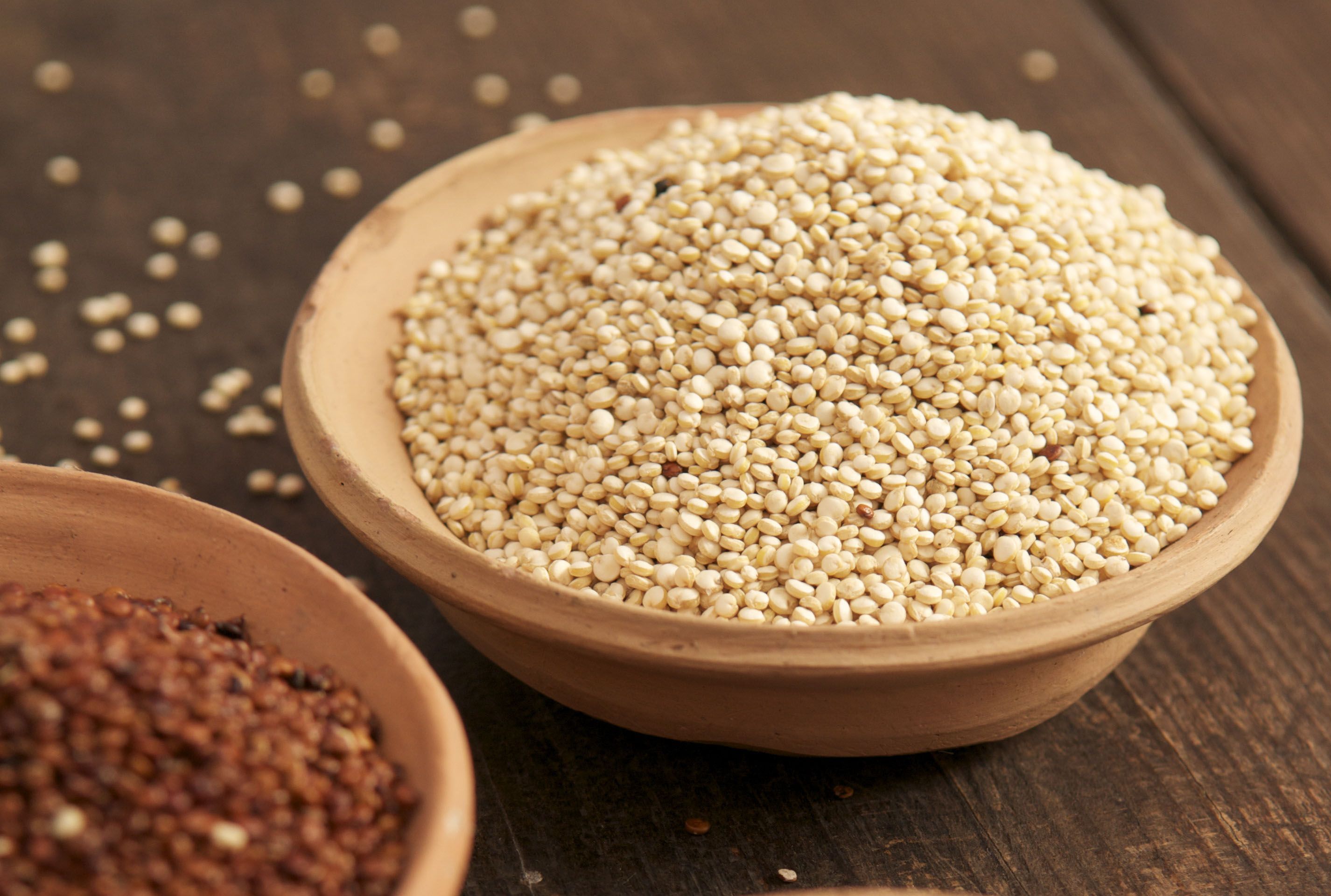 Con la proteína de estos alimentos de origen vegetal no extrañarás la carne