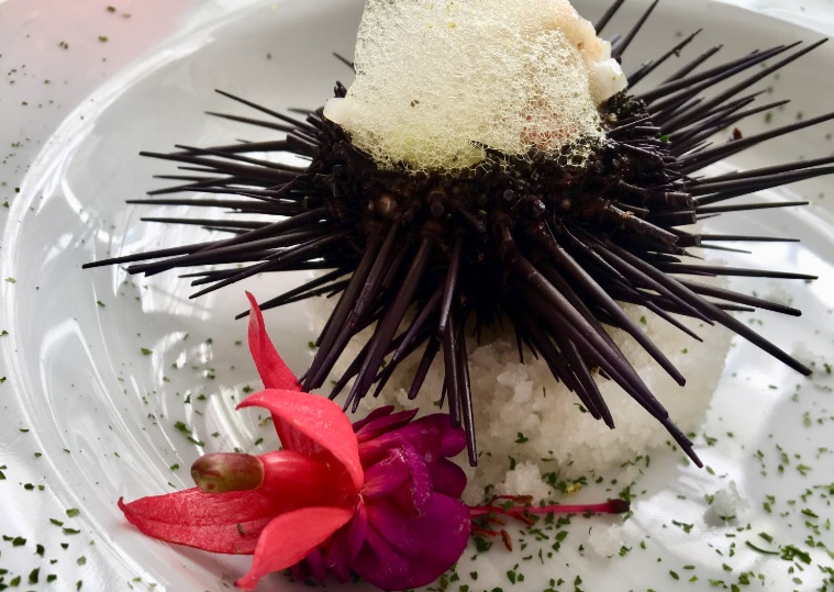 ¡Acapulco, un interminable viaje de sabores!