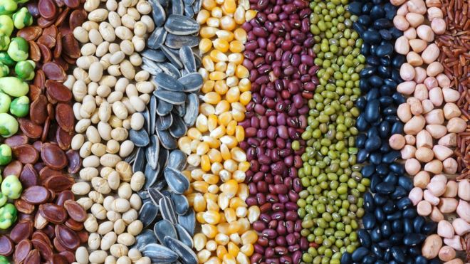 Semillas comestibles de frutas y plantas que debes incluir en tu dieta