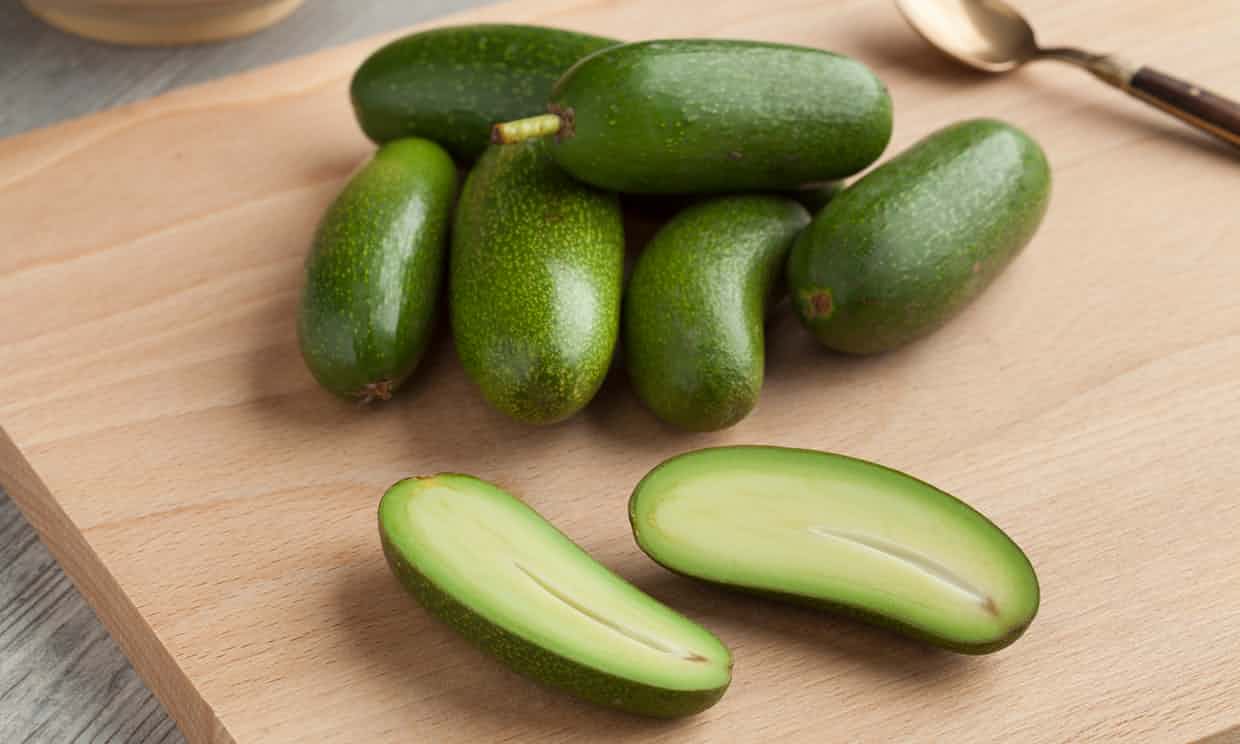 Esta tienda vende aguacates &#x1f951; sin semilla para evitar que la gente se corte las manos &#x1f926;