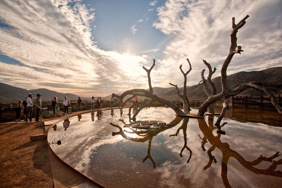 Una vinícola mexicana está entre las más bonitas del mundo, según Food &#038; Wine