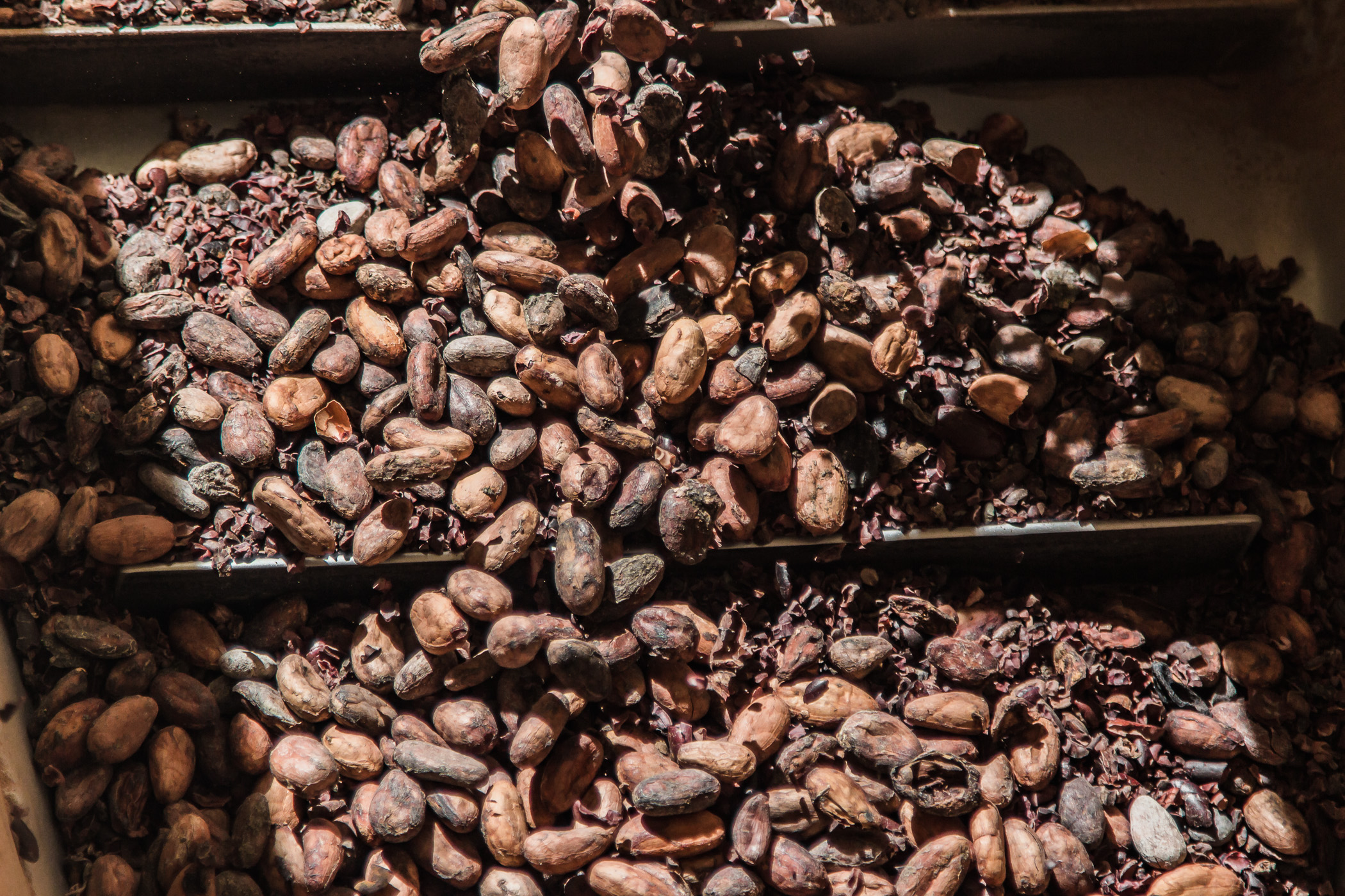 Atole negro, una mística tradición culinaria de Michoacán