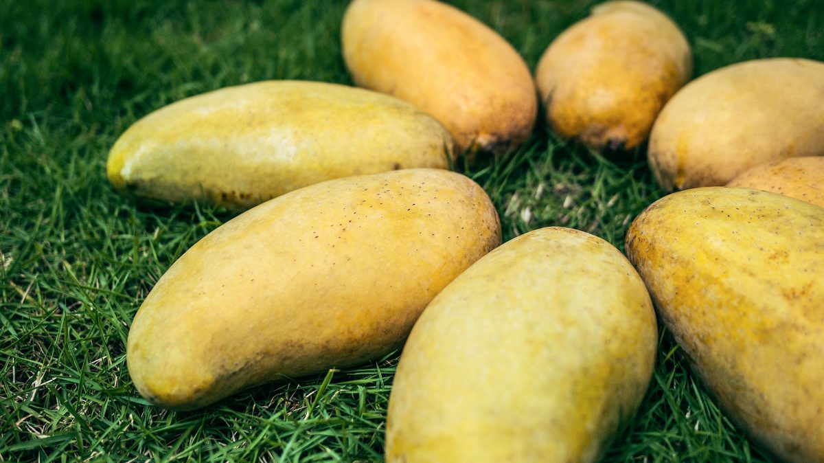 Los sabores de marzo y la temporada que nos conquista