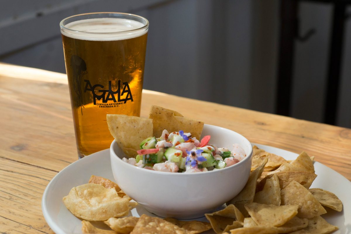 Tours cerveceros en nueve estados de México