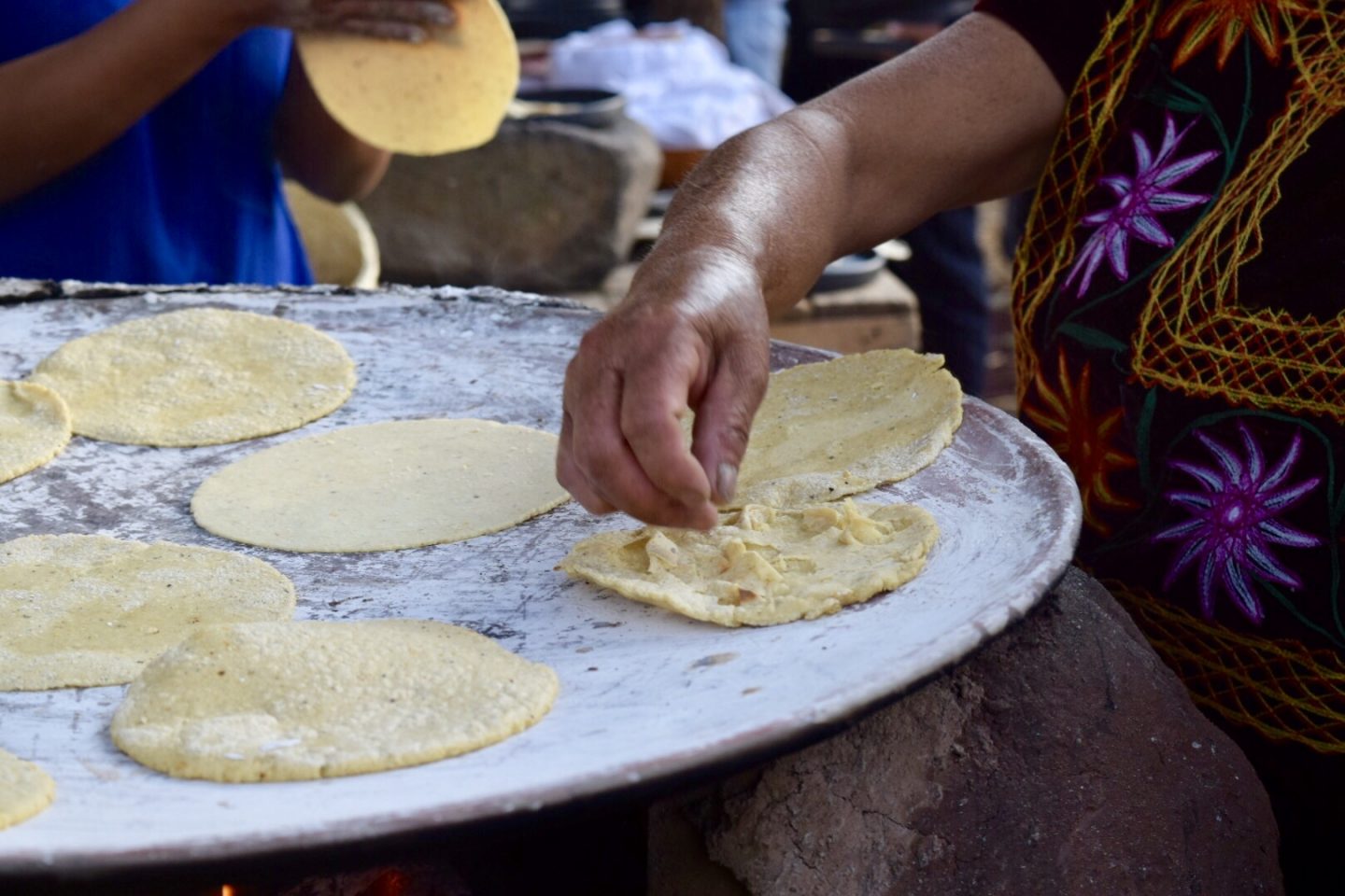 “¡Todos tenemos derecho a comer buenas tortillas de maíz!”