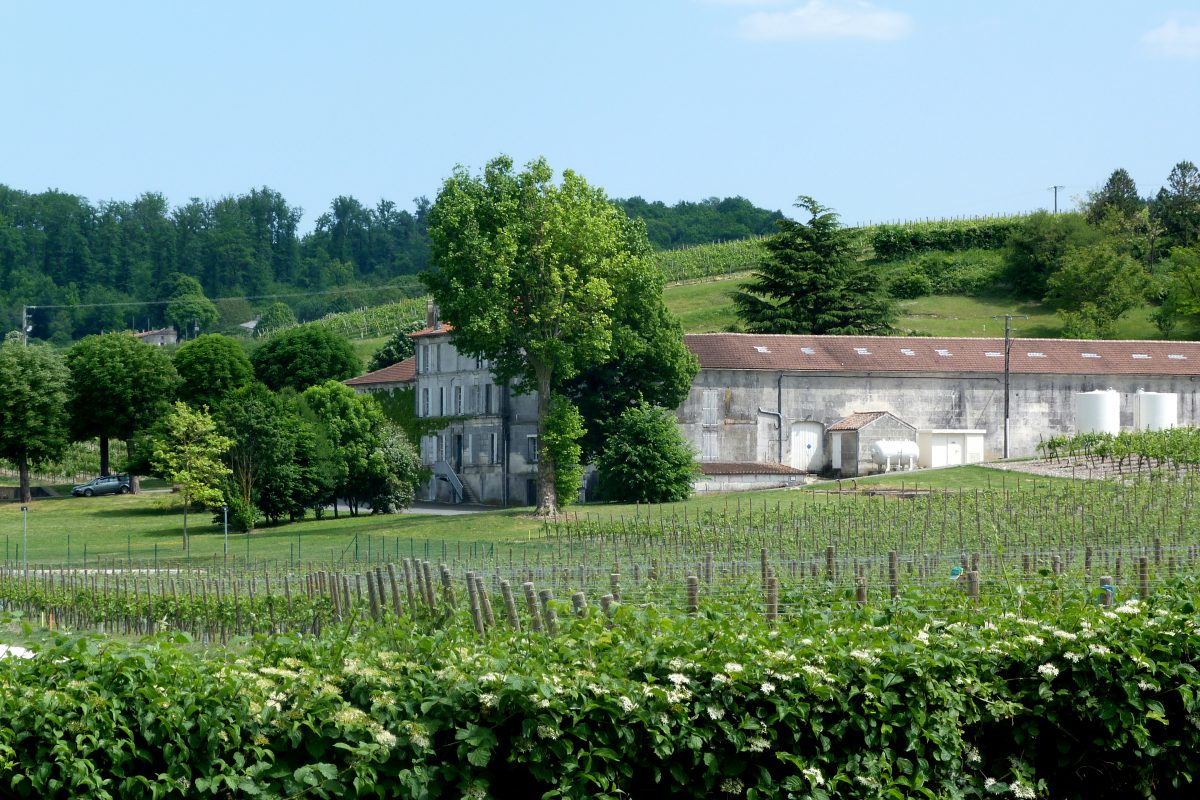 Viajar a Francia para conocer el hogar y cómo se hace el coñac