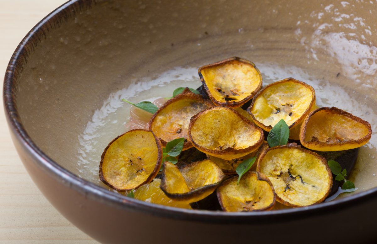 La mordida tóxica: los beneficios son más importantes que tu vida