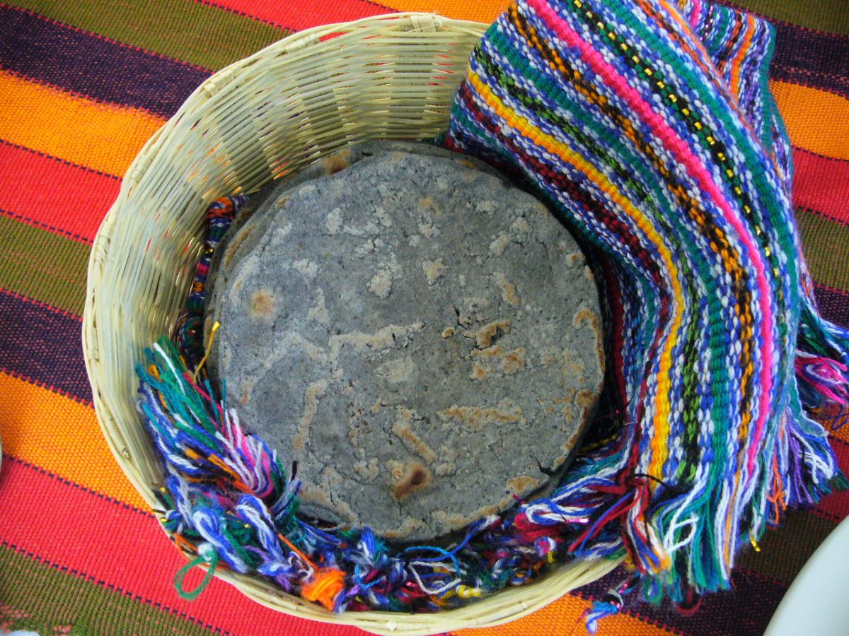 Todo lo que necesitas saber para nixtamalizar en casa y hacer masa para tortillas