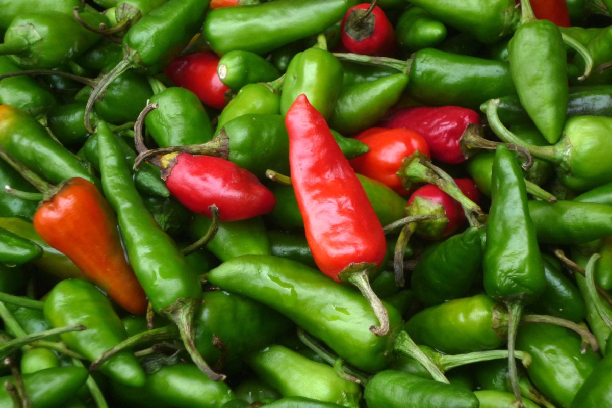 Para combatir la obesidad, este medicamento derivado de los chiles