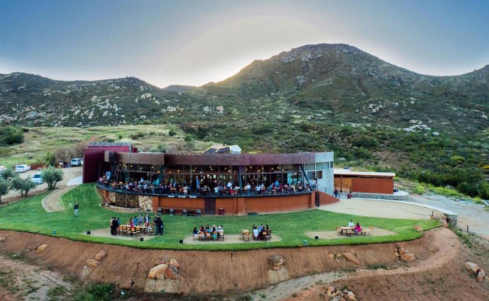 Mucho vino, comida y buena música en el festival Guadalupe Valley