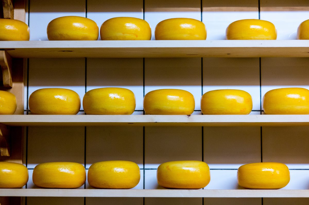 Estos son los 5 mejores quesos mexicanos, según los World Cheese Awards 2018