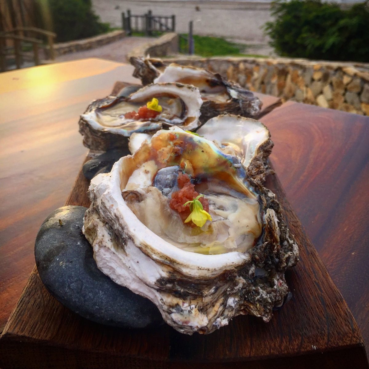 Una experiencia gastronómica sustentable de verdad en Sinaloa