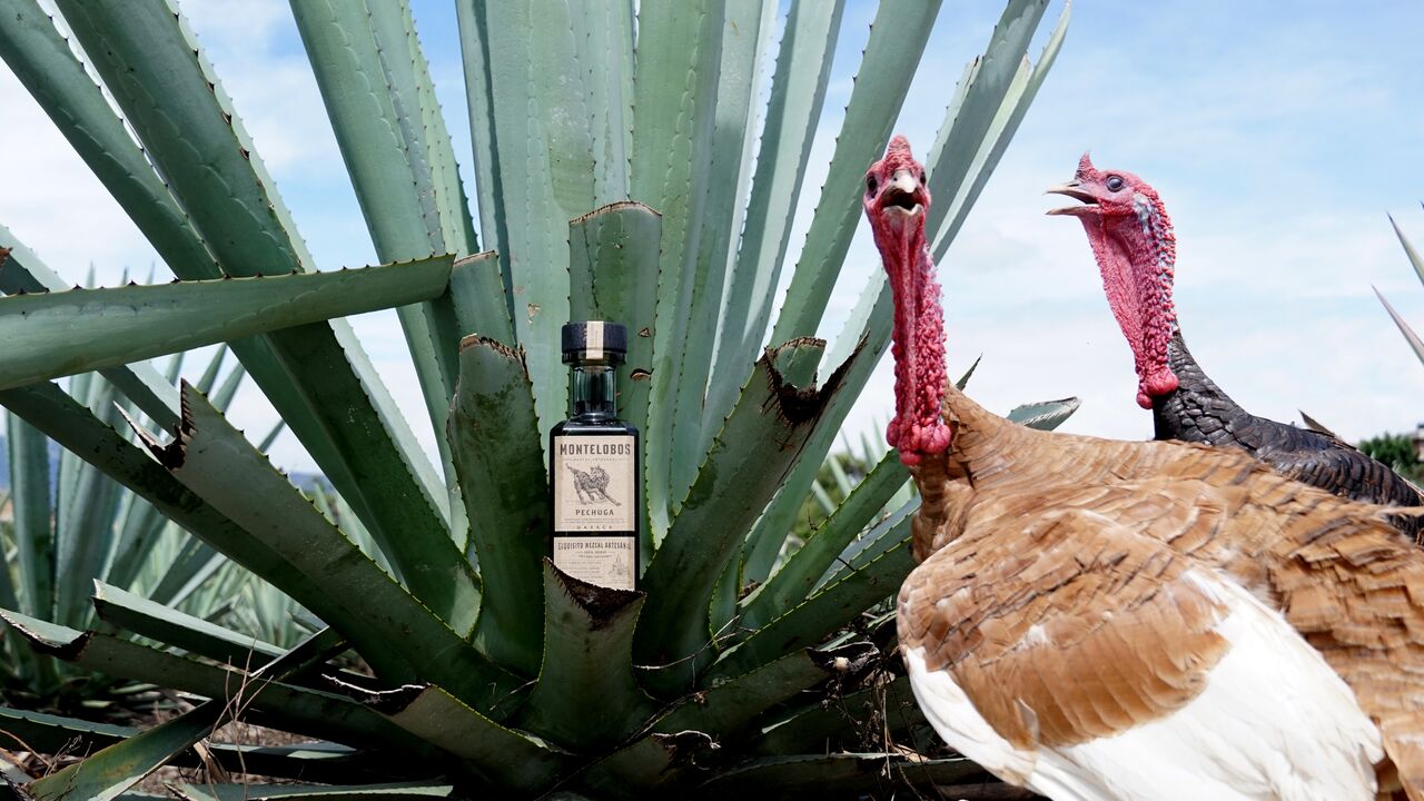 Este mezcal se elabora ¡con pechugas de pollo o pavo!