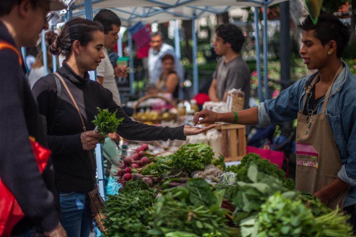 10 alimentos que quieres incluir en tus menús para estar saludable