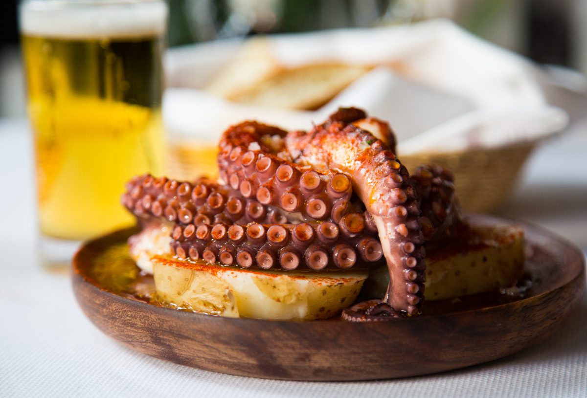 16 lugares para comer y conocer la colonia Cuauhtémoc