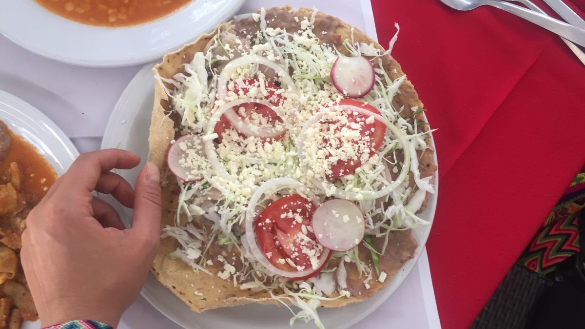 Cómo preparar pata para tostadas y distinguir la buena de la falsa