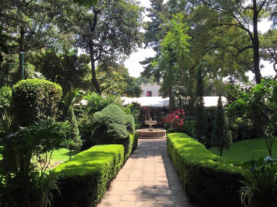 22 lugares para comer y descubrir en San Ángel