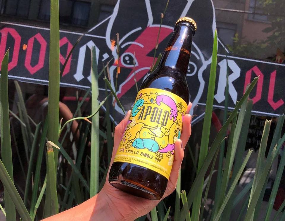 Cerveza Apolo, la primera chela que ayuda a los perritos abandonados