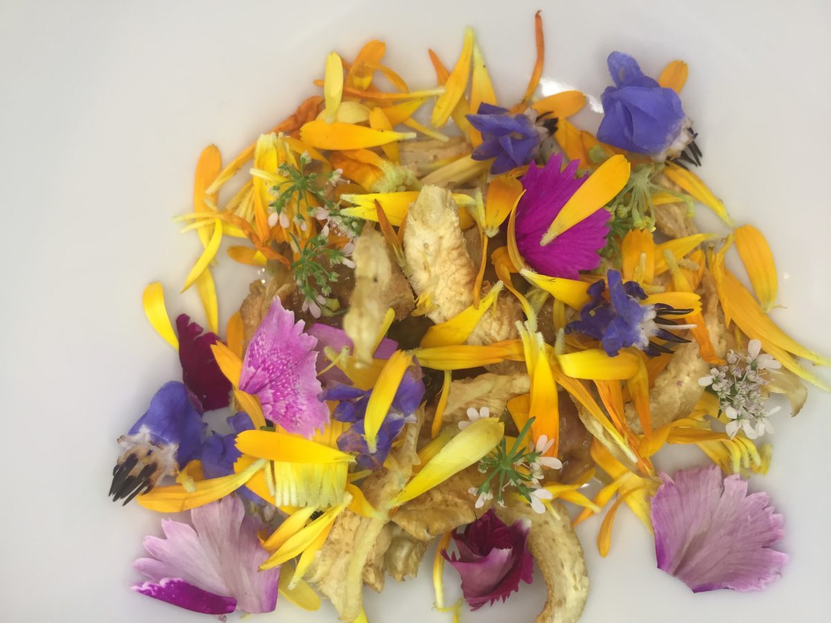 3 Recetas con cempasúchil que puedes hacer en casa