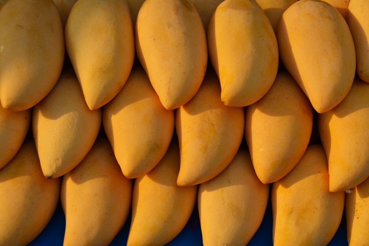 ¡Ya estamos en temporada! Conoce los tipos de mango y prepara 5 recetas con esta fruta