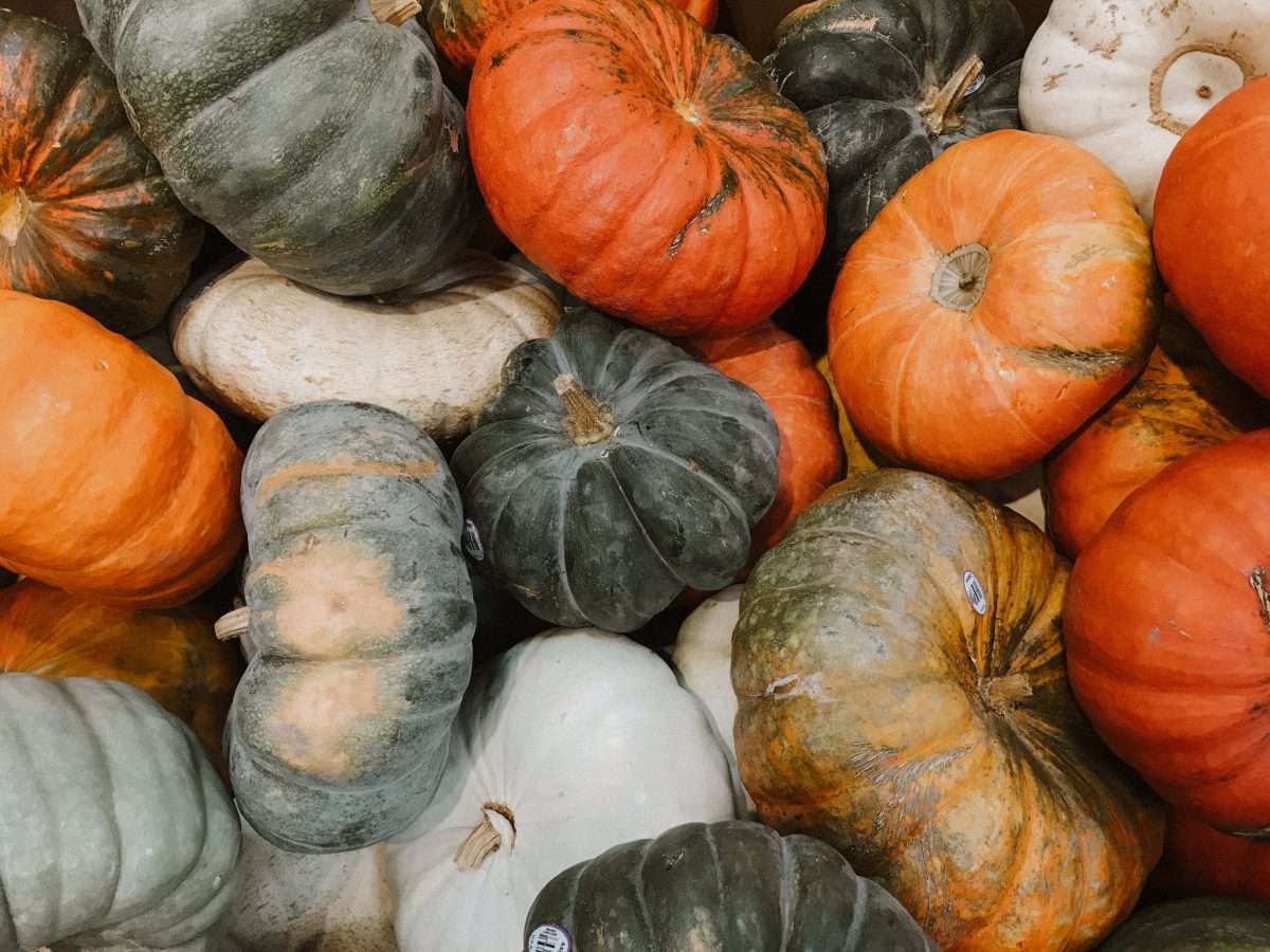 Aceite de semillas de calabaza, buscando grasas saludables y ricas