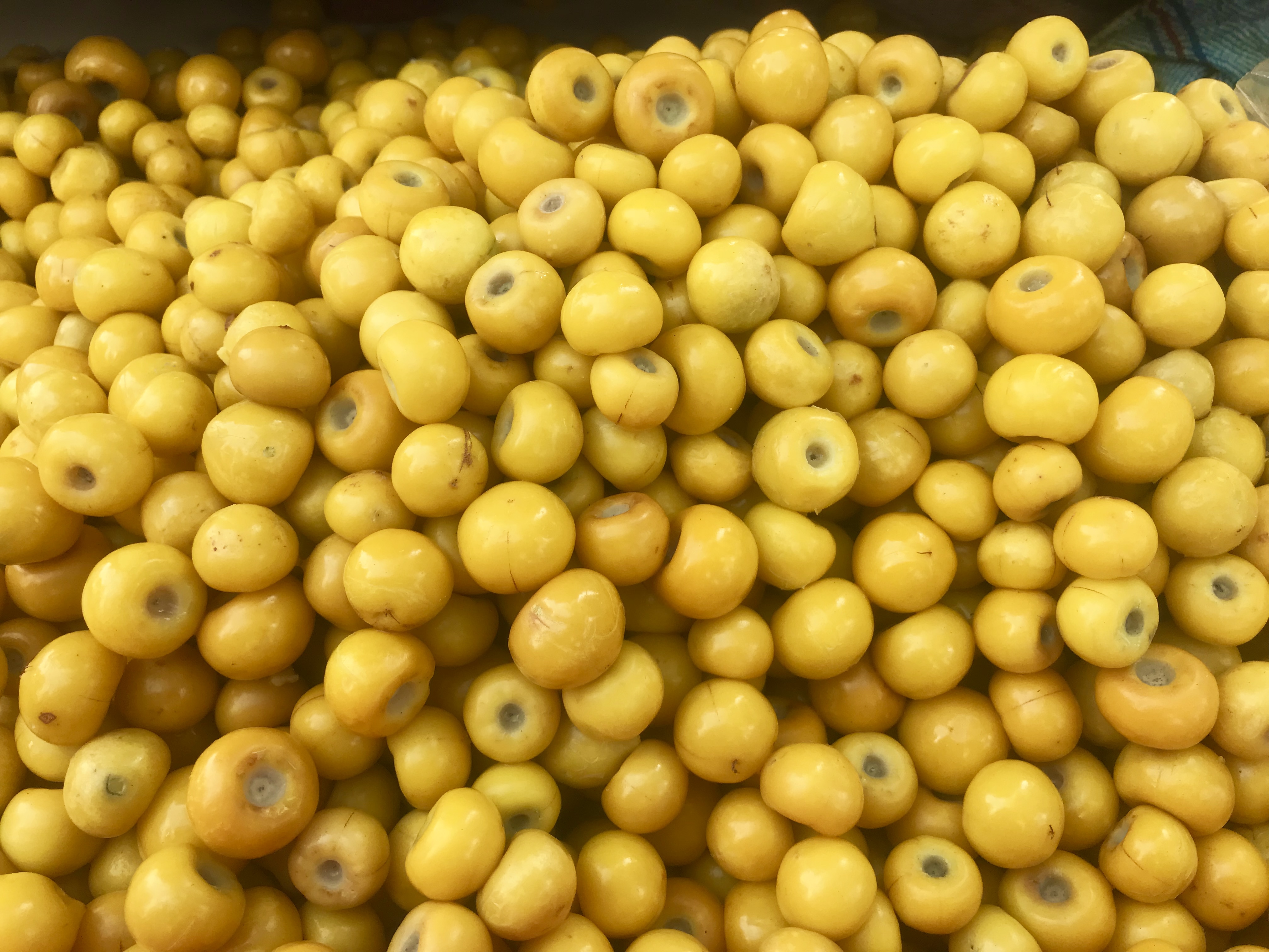 Nanche, el tesoro amarillo de Michoacán y cómo disfrutarlo