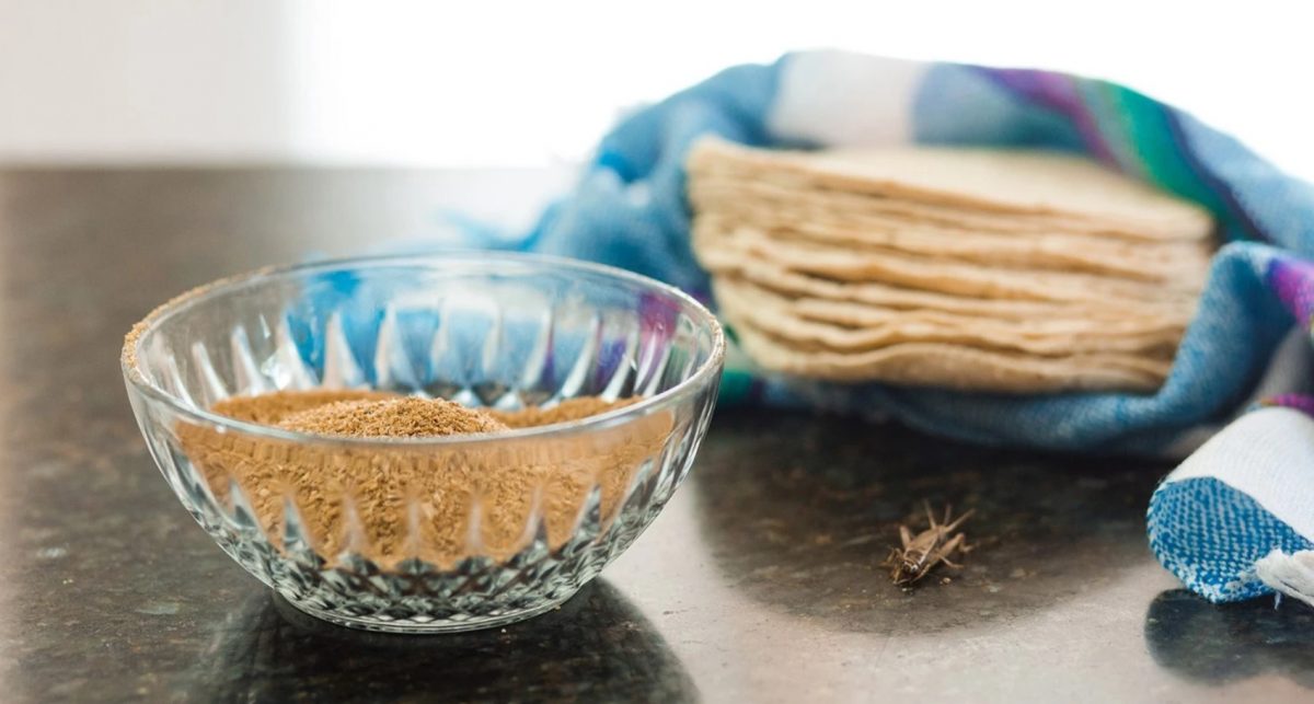 ¿Se puede cocinar con harina de grillo?