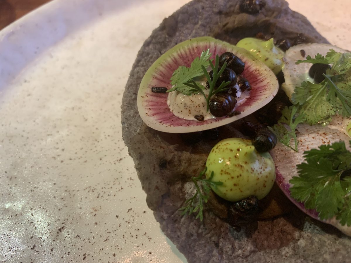 Más que chapulines y gusanos: conoce diez insectos que se comen en México