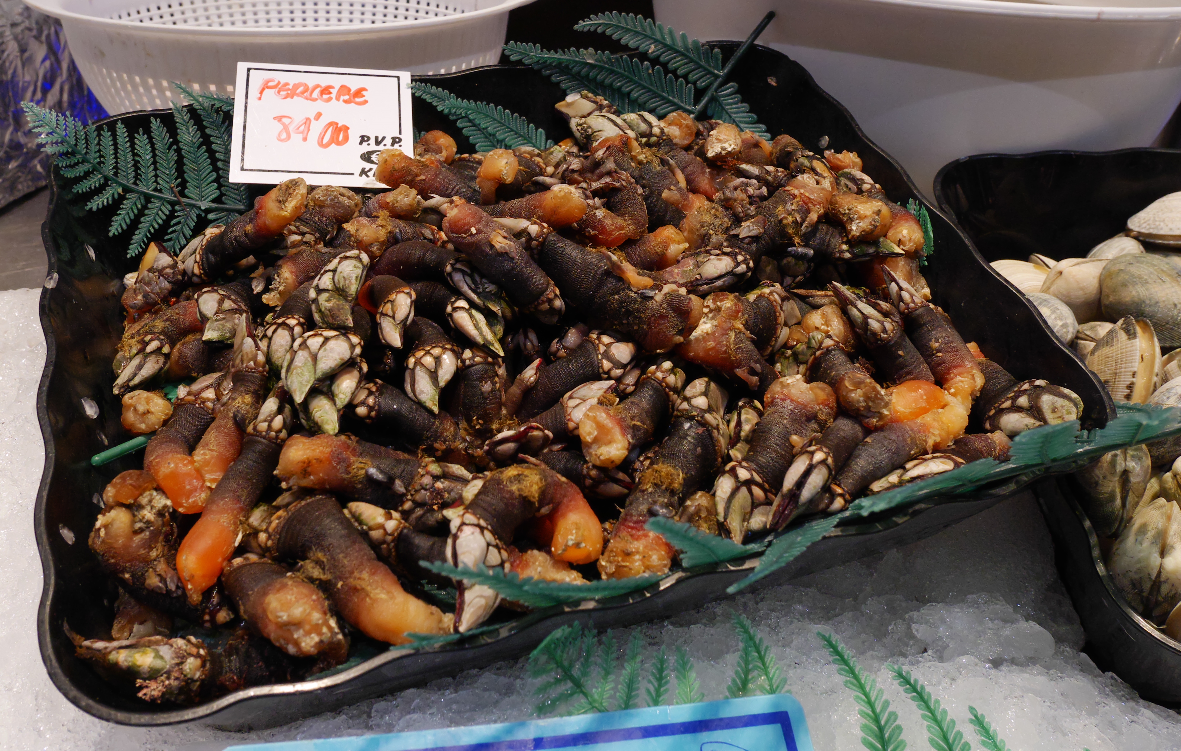 Percebes: los mariscos cuya belleza está en el interior