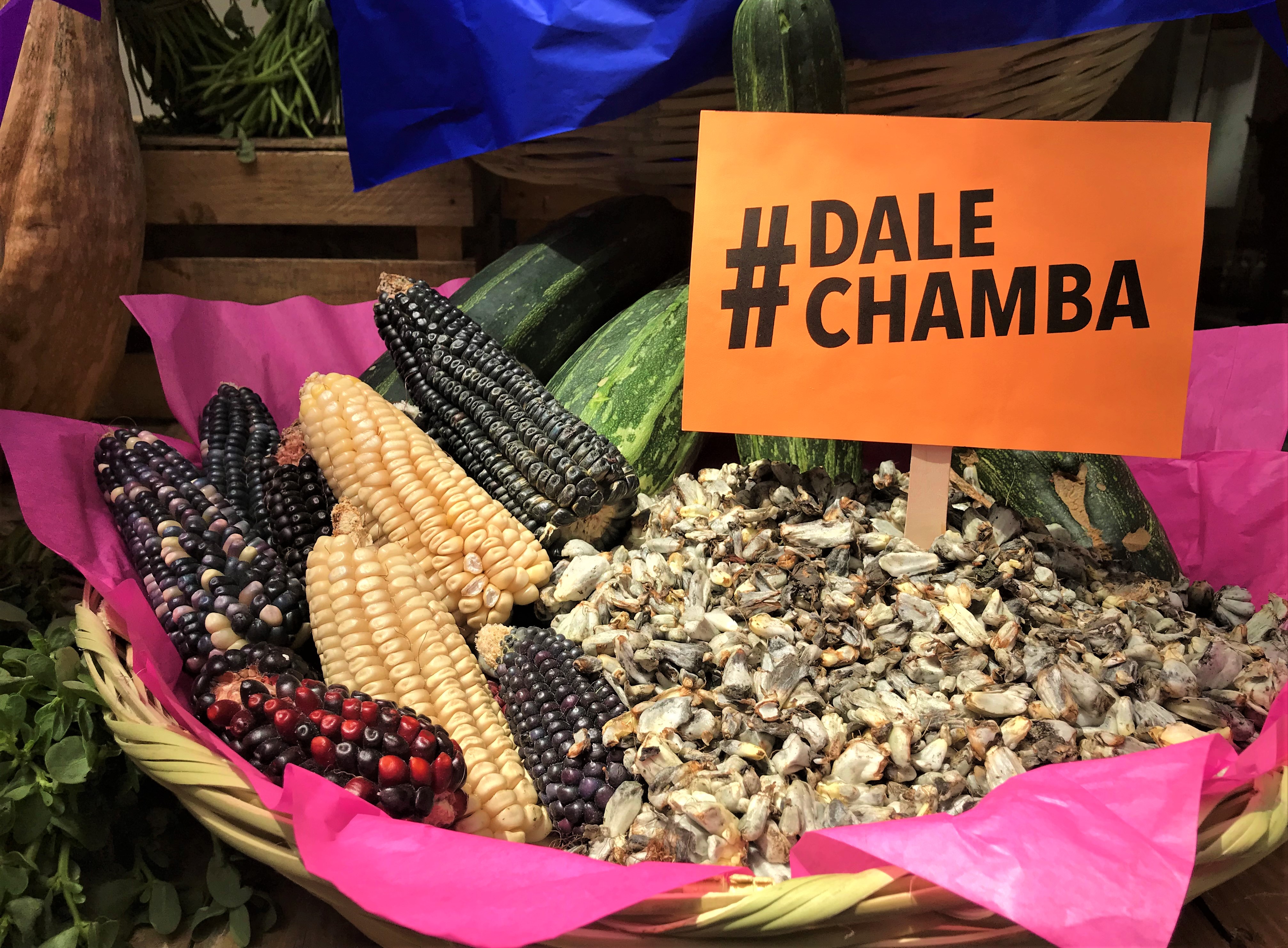 #DaleChamba, una campaña que impulsa la preservación de ingredientes mexicanos