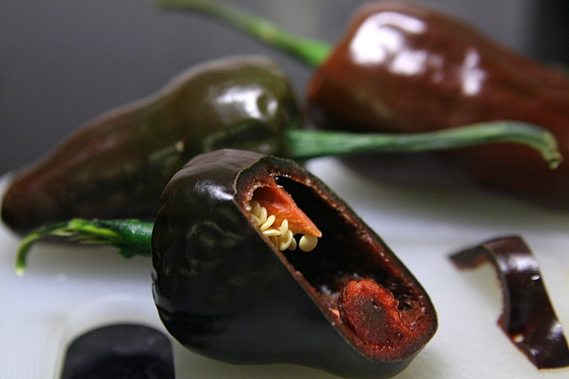 chichilo negro chile chilhuacle